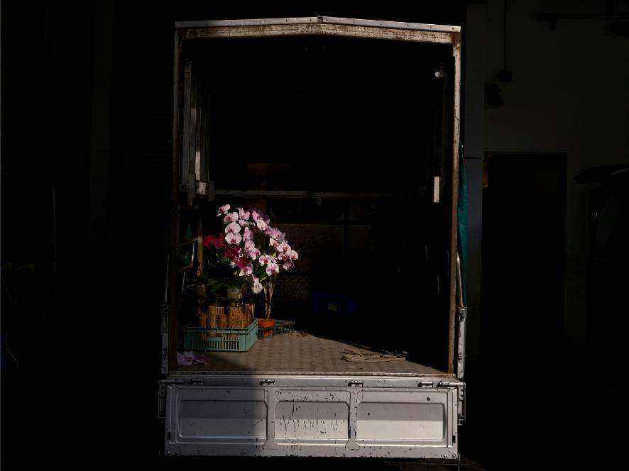 Fleurs locales
