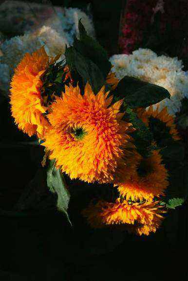 Bouquet inspiration 1