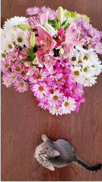 Bouquet inspiration 2