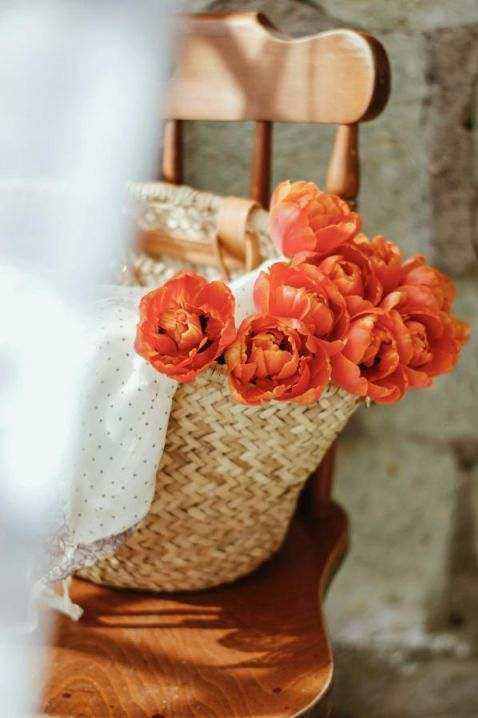 Collection moderne
