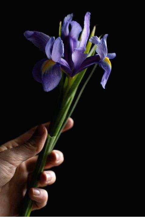 Bouquet cadeau rapide