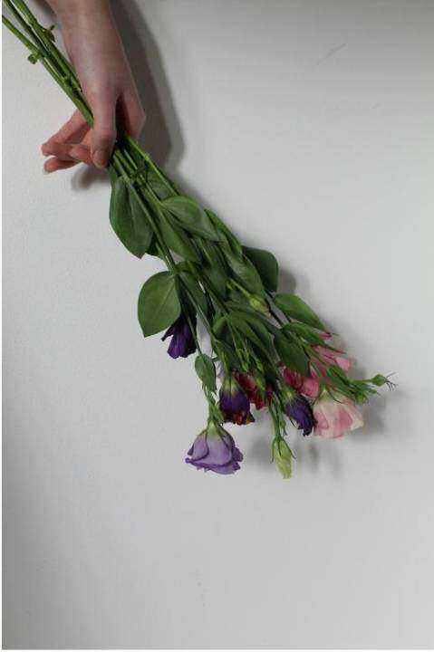 Collection roses rapides