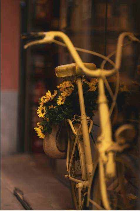 Bouquet surprise