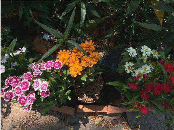 Galerie bouquet 1