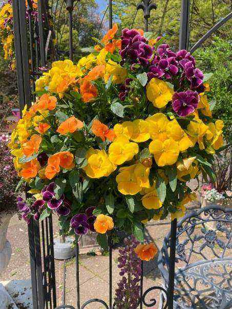 Bouquet anniversaire