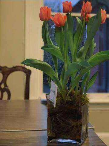 Bouquet rouge élégant